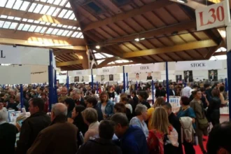 Brive : le conseil municipal confirme l'agrandissement de la Foire du livre