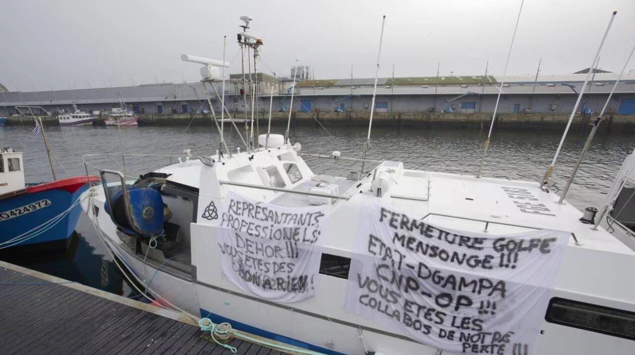 Pêche : un recours déposé au conseil d’État pour fermer le golfe de Gascogne quatre mois