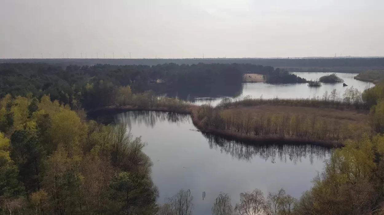 Jo Brouns accorde 2,4 millions d’euros de subventions aux parcs nationaux flamands