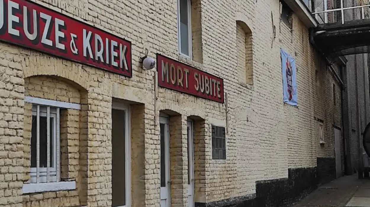 La brasserie Mort Subite de Kobbegem brasse avec 90 000 kg de cerises belges