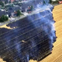 La chaleur et la sécheresse provoquent des incendies à Dilbeek et en Brabant flamand