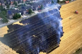 La chaleur et la sécheresse provoquent des incendies à Dilbeek et en Brabant flamand