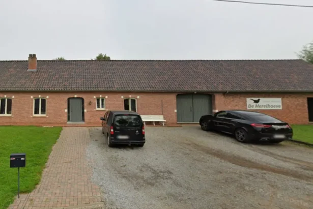 Le huitième labyrinthe de maïs ouvre ses portes à De Merelhoeve, Beringen, avec une nouveauté le camping
