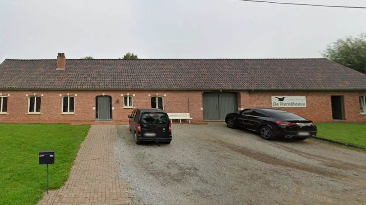 Le huitième labyrinthe de maïs ouvre ses portes à De Merelhoeve, Beringen, avec une nouveauté le camping