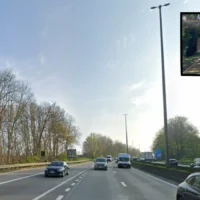 Le pont vert de Vilvorde réunit deux forêts séparées par l’E19