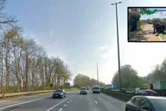 Le pont vert de Vilvorde réunit deux forêts séparées par l’E19