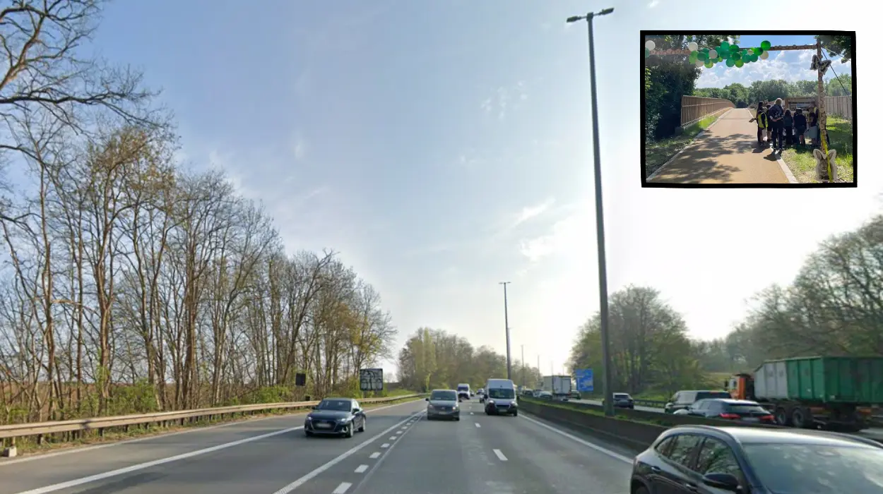 Le pont vert de Vilvorde réunit deux forêts séparées par l’E19