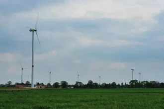 Les groupes anti-éoliennes s'unissent à Malines pour lutter contre les turbines