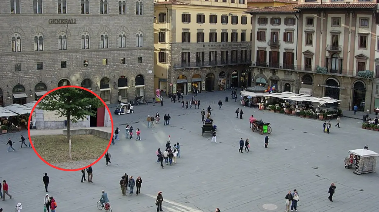 Les plates-bandes d’Oudegem tondues par erreur par un étudiant