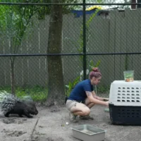 Menace à la bombe au Zoo Miami évacuation massive 2025