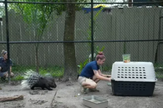 Menace à la bombe au Zoo Miami évacuation massive 2025