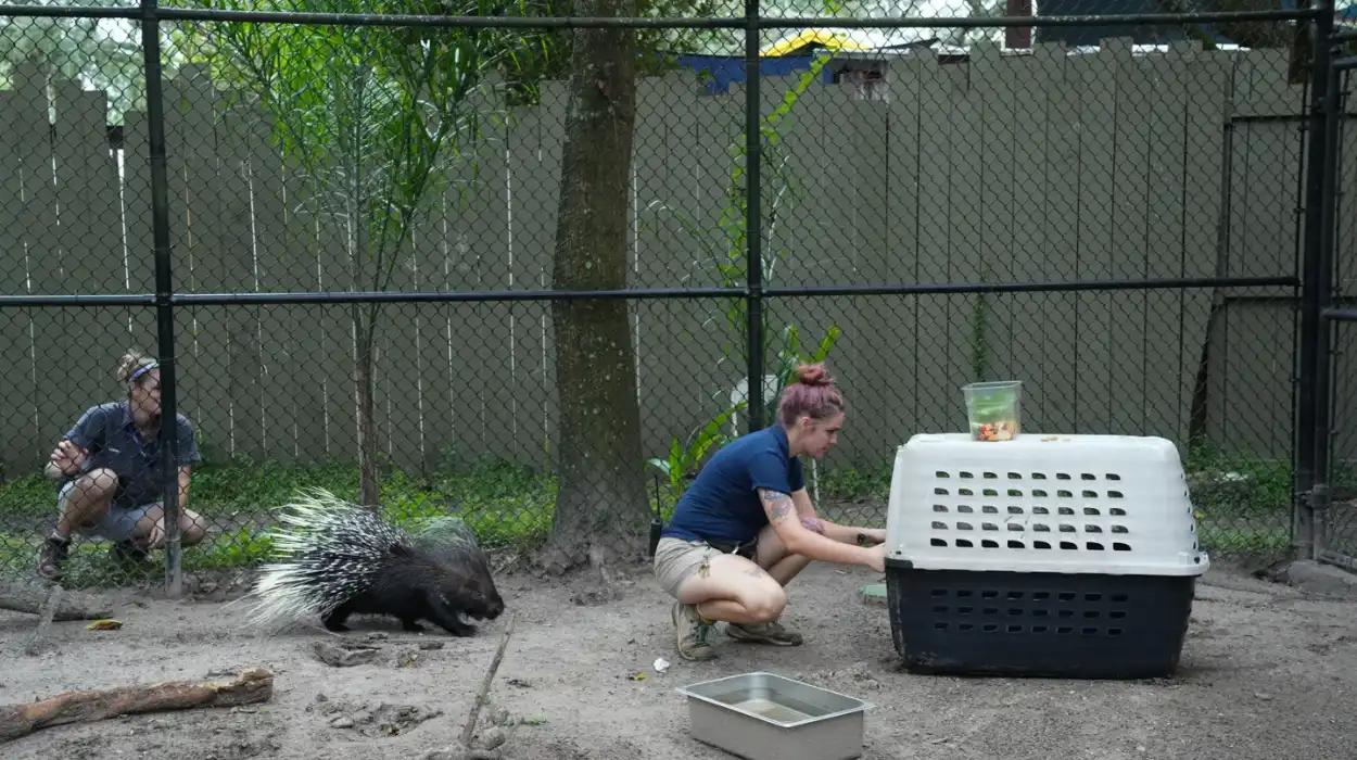 Menace à la bombe au Zoo Miami évacuation massive 2025