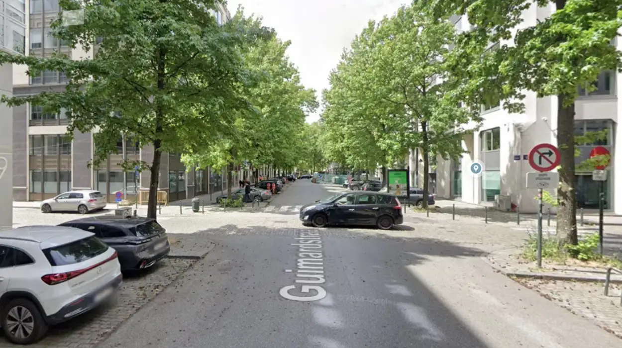 Réaménagement de la rue Guimard à Bruxelles plus de verdure moitié moins de places de parking