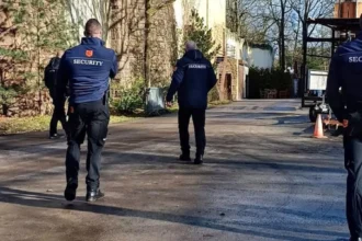 « Sale Belge, va faire la file normale avec ton faux handicap » : le séjour à Efteling vire au cauchemar pour la Belge Nathalie et Charles, son fil autiste