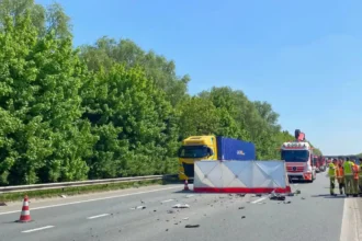Un conducteur décède dans une collision avec un camion sur l’E403 à Wevelgem