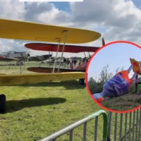 Une sculpture de Chantal de Wold vandalisée à Moorsele